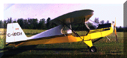 L'il Buzzard Ultralight Trainer