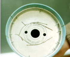and on the outside of the prop spinner.