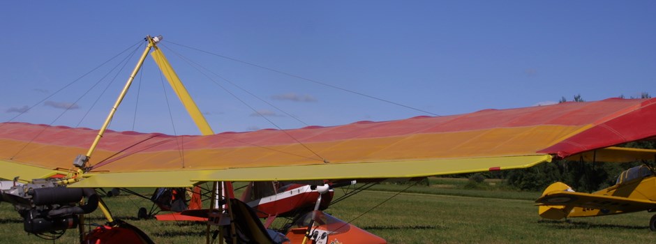 Faded wing fabric on the top of the wing