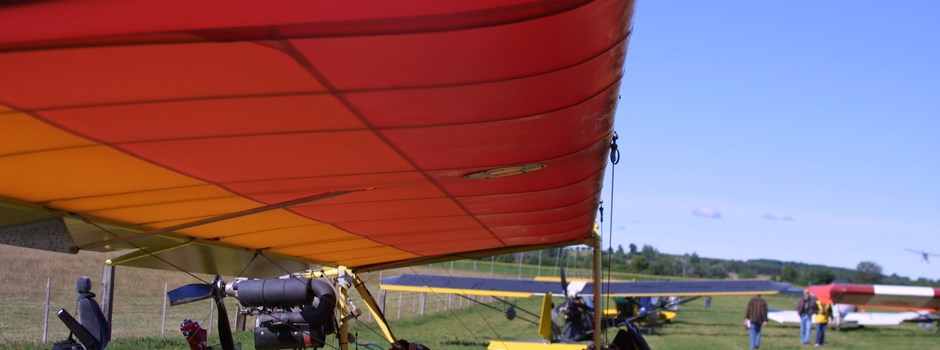 Original bright color on bottom of wing.