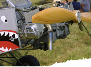 Legal Eagle ultralight aircraft powered by 1/2 VW 45 HP, direct drive, twin cylinder aircraft engine conversion.