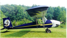 Loehle Sport Parasol Ultralight Aircraft Photo Image Gallery-4