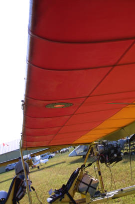 Note that the fabric is considerably brighter in color with no fading. The underside of the wing is not exposed to UV light.